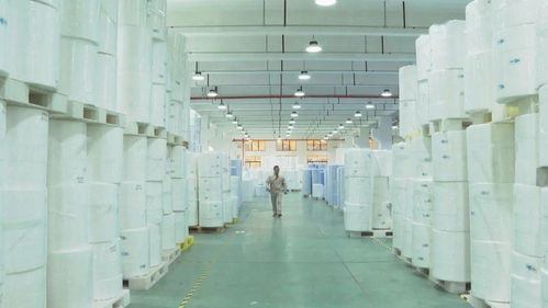 喜訊 留在龍港過年的人有大福利